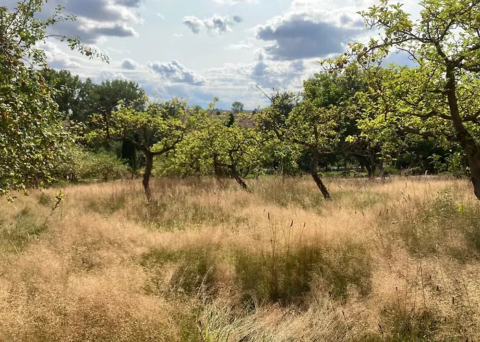 Volgenandt Bed & Breakfast