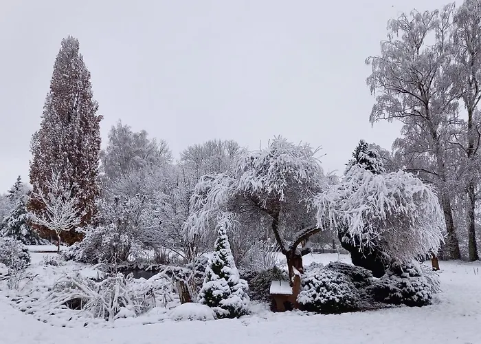 Volgenandt Breitenbach (Eichsfeld)